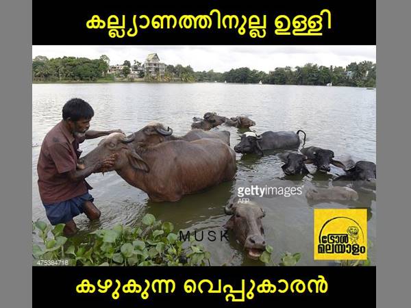 കല്യാണത്തിനുള്ള ഉള്ളി