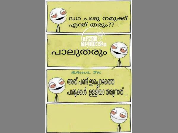 പശു എന്ത് തരും