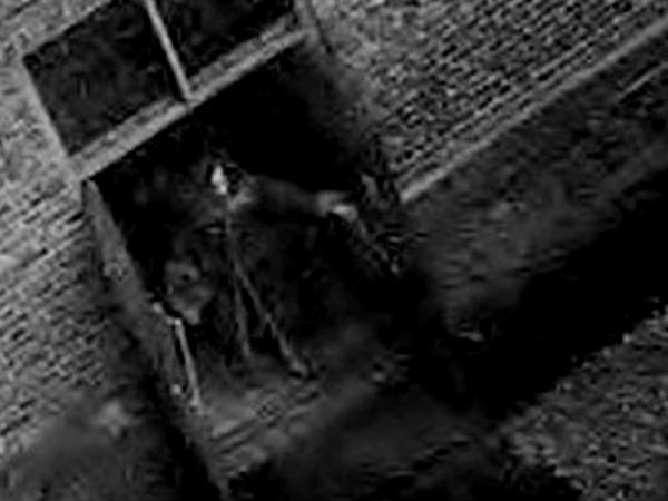 സിസിടിവിയിലെ പ്രേതം