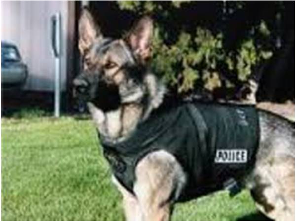 ഒത്തു തീര്‍പ്പ്