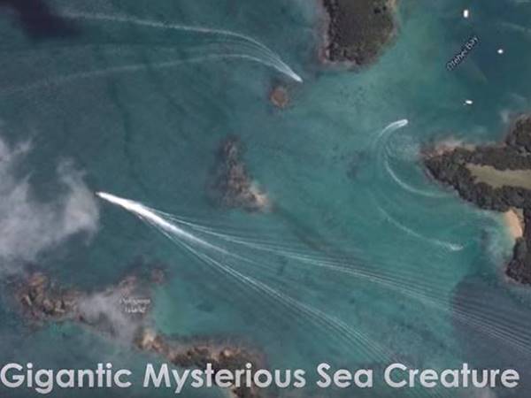 ജൈജാറ്റിക് 