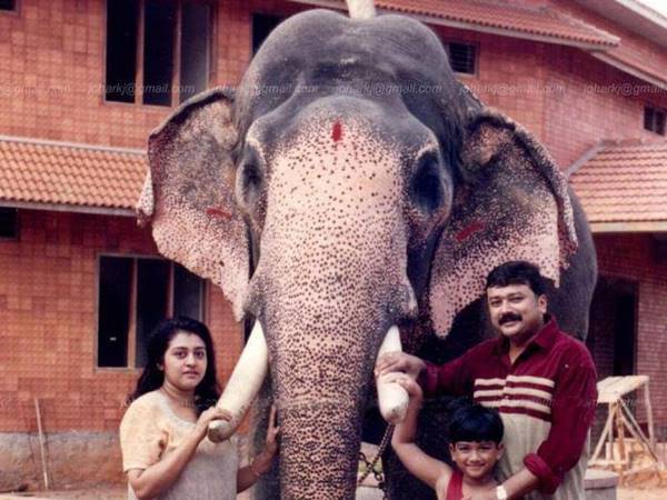 സിനിമയില്‍