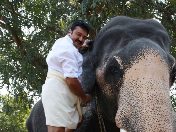 ആനച്ചന്തം