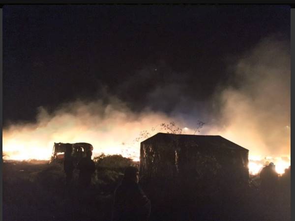 കണ്ടെത്തിയില്ല