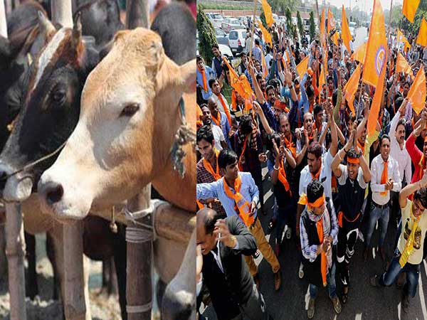 വിഎച്ച്പി പ്രവര്‍ത്തകര്‍ ഇങ്ങനെ ചെയ്യുമോ?