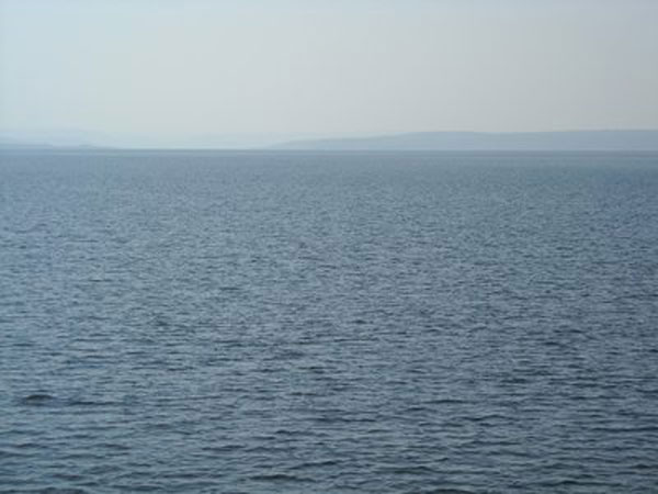 ആരാണ് നാസര്‍?