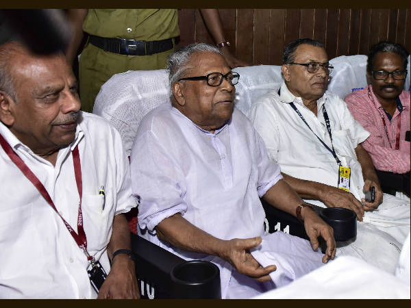 വലിയ ചിറകുള്ള പക്ഷി