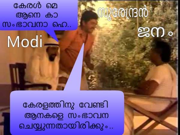ആനയെ സംഭാവന?