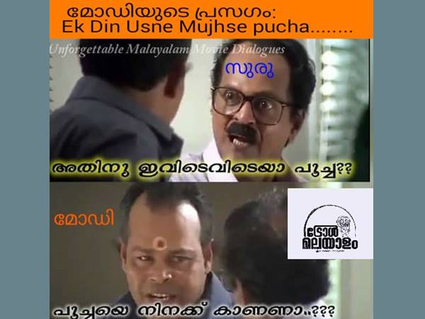 പൂച്ചയോ