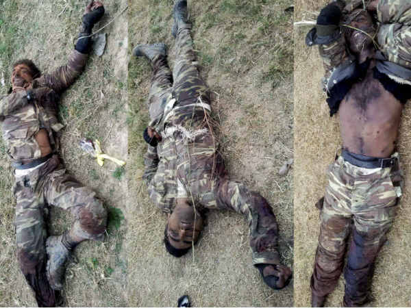 ഇതാണവര്‍