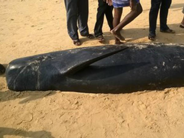 ഇതിന് മുമ്പ്‌