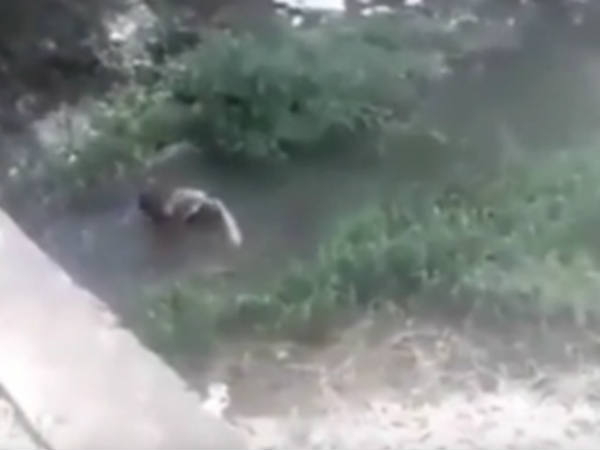 കൂട്ടുകാരിയും