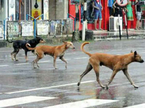 എത്ര ചെലവ് വന്നാലും