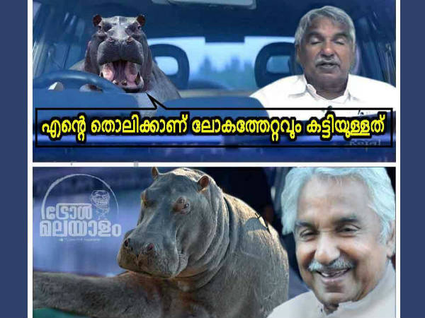 തൊലിക്കട്ടി