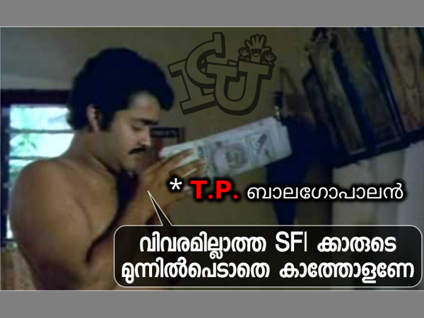 ടിപി ബാലഗോപാലന്‍