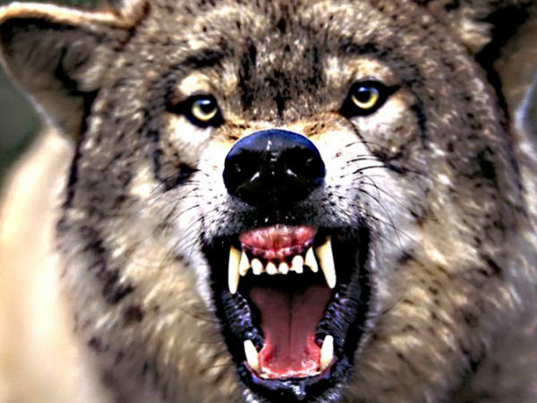 അറിയിക്കാം അറിയിക്കാം