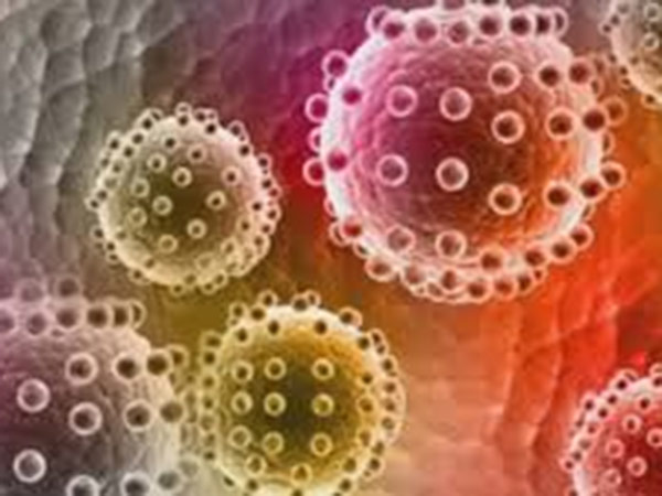 രോഗം പടരുന്നത്