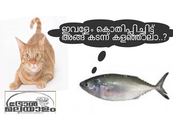 പൂച്ചയും മീനും