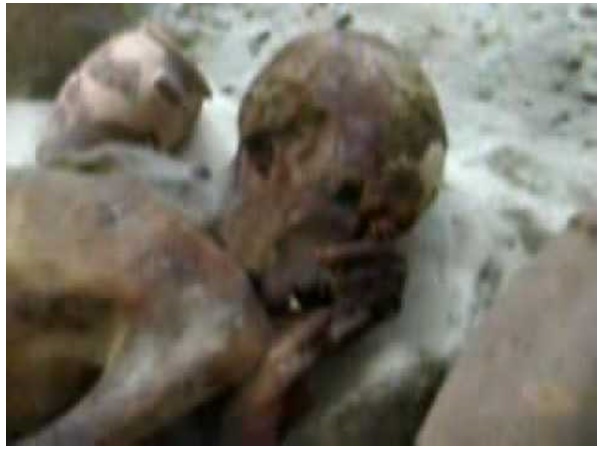 കൊലപാതകം നടന്നത്