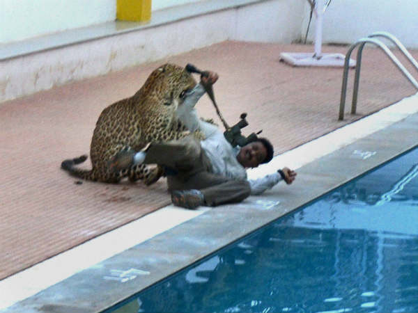 രണ്ട് പുലികള്‍