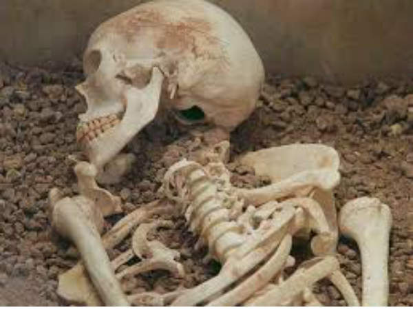 യുവതിയുടെ അവശിഷ്ടം