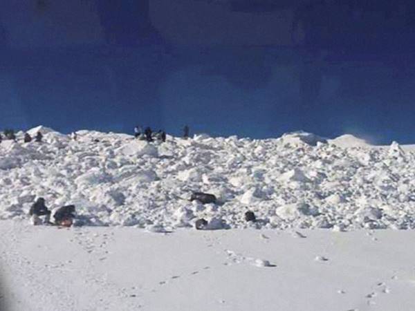 രക്ഷാ പ്രവര്‍ത്തനം