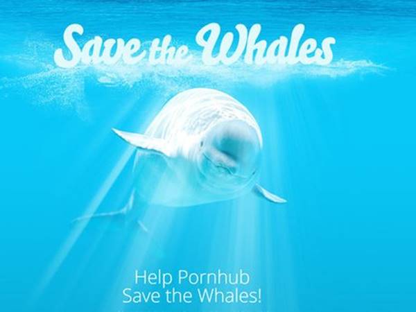 അശ്ലീലം കാണൂ