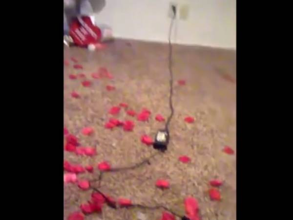 എല്ലാം കൂടി ഒരു കാര്‍ഡിലാക്കി