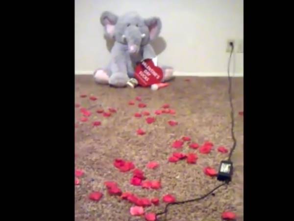 കാര്‍ഡില്‍ ഉണ്ടായിരുന്നത്