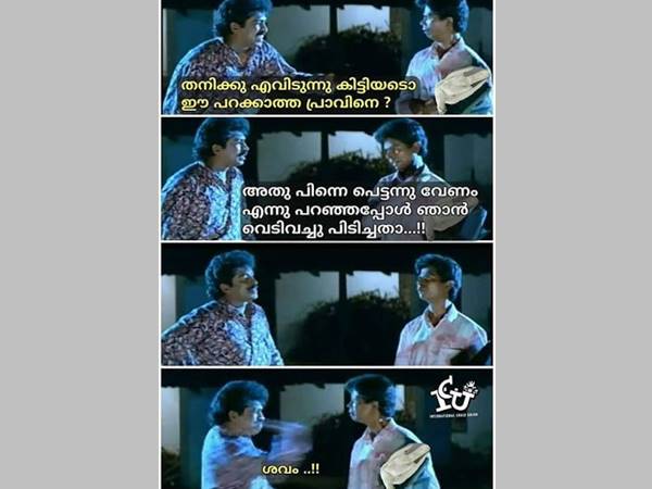 എവിടന്ന് കിട്ടിയെടോ ഈ പറക്കാത്ത പ്രാവിനെ