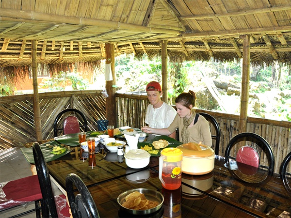 പട്ടിയെ കയറ്റും