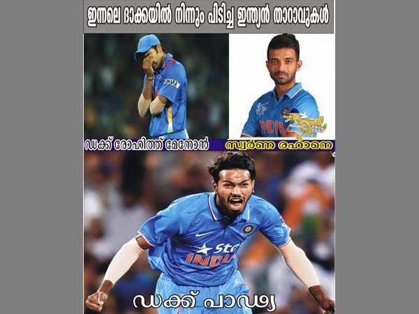 ഇന്ത്യന് താറാവുകള് ഇന്ത്യന് താറാവുകള്