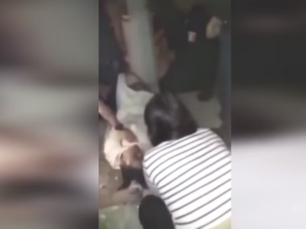 വാഹനങ്ങള്‍ ഇല്ലാത്തപ്പോള്‍
