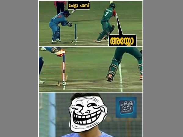 ചേട്ടാ പാമ്പ് ചേട്ടാ പാമ്പ്