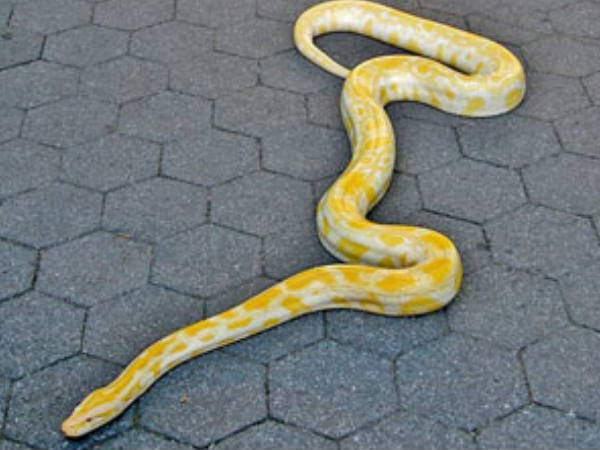 സംഭവം നടക്കുന്നത്