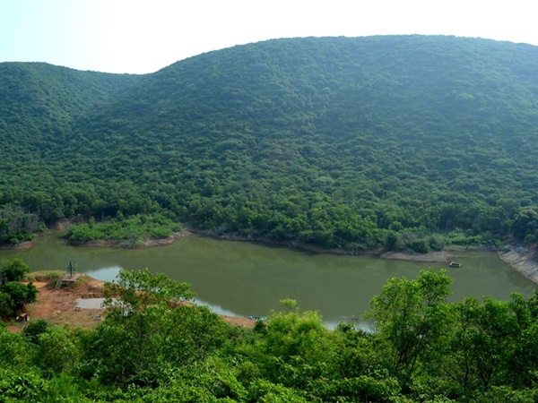 പ്രകൃതി സ്നേഹികള് എന്ത് ചെയ്യണം? പ്രകൃതി സ്നേഹികള് എന്ത് ചെയ്യണം?