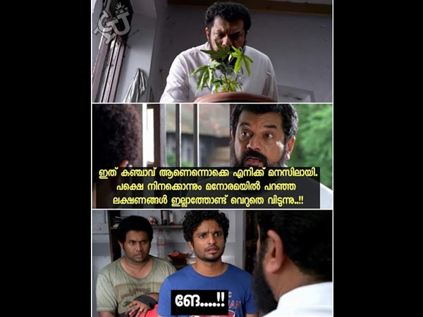വെറുതെ വിട്ടേക്കാം