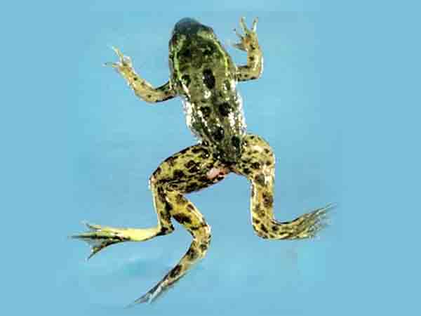 വരള്‍ച്ചയില്‍ 