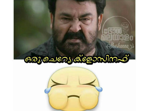 ഇതാണോ പുലി
