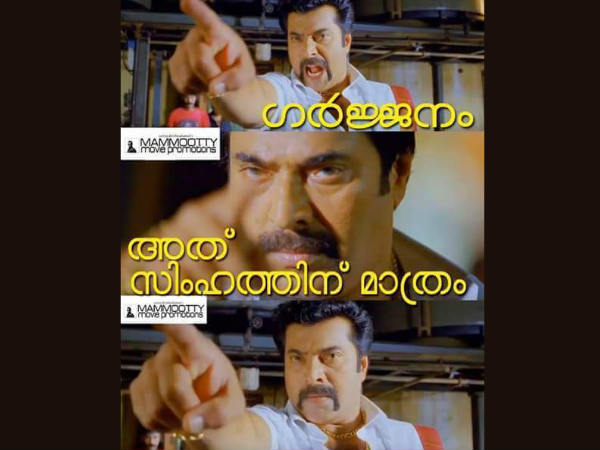 മമ്മൂട്ടി ഫാന്‍സ്