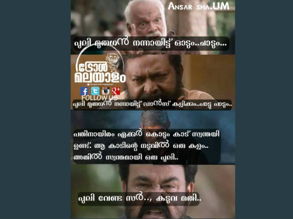 കടുവ മതി
