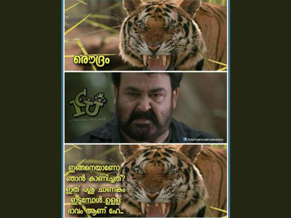 ഇങ്ങനെയാണോ കാണിച്ചത്