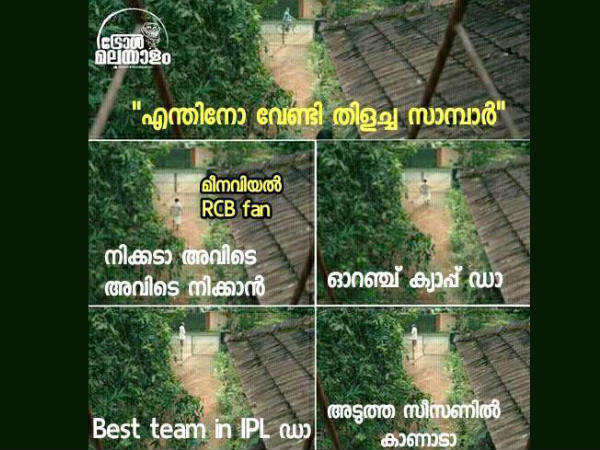 ആര്‍സിബി ഫാന്‍സ്