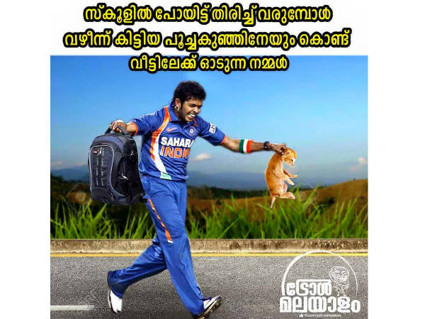 പൂച്ചക്കുഞ്ഞും