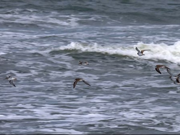 അര്‍ജുനൊരു ലക്ഷ്യമുണ്ട്