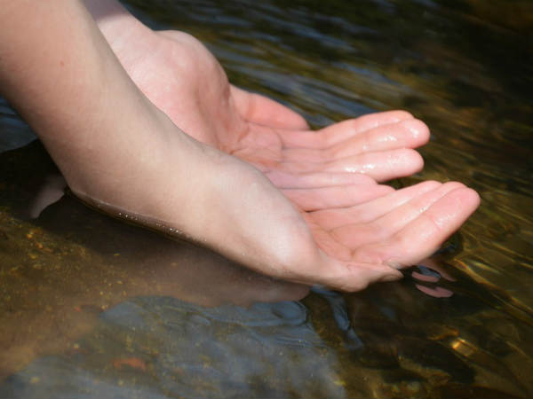 കരങ്ങളിലേക്ക് നോക്കുക