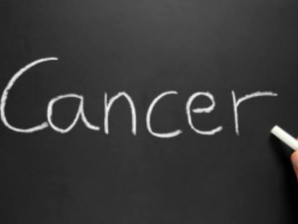 23-1445587154 23-1445587154