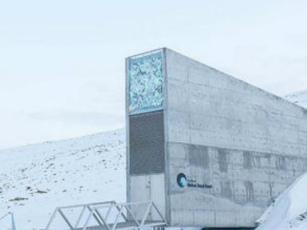 സ്വാള്‍ബാര്‍ഡ് ആഗോള വിത്തു സംരക്ഷണ നിലവറ