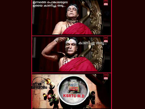 പൊങ്കാലയുടെ ഇര