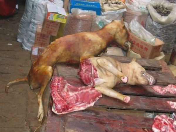 ഇന്ത്യയില്‍ പട്ടിയെ ഭക്ഷിക്കുന്നത് നിയമപരമല്ല